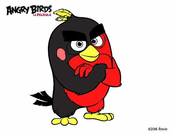 Red de Angry Birds