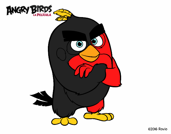 Red de Angry Birds