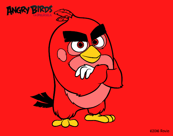 Red de Angry Birds