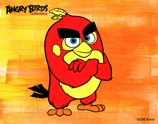 Red de Angry Birds