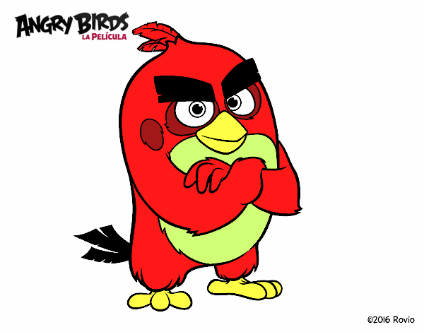 Red de Angry Birds