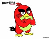 Red de Angry Birds