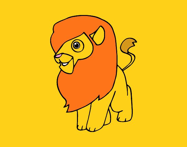 Un león