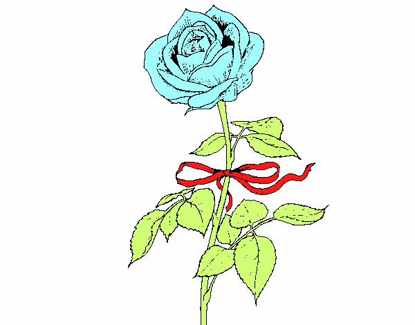 la rosa