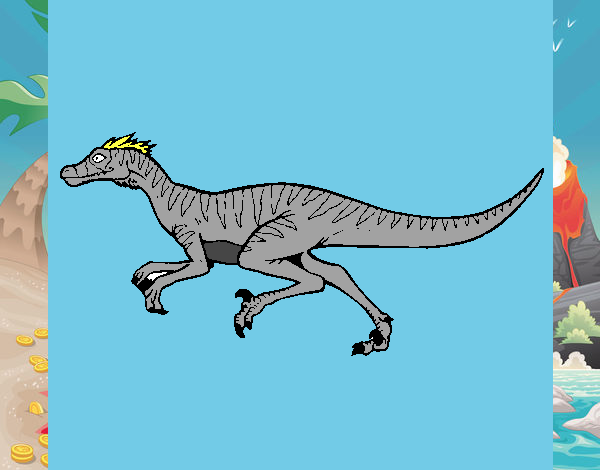 Velociraptor