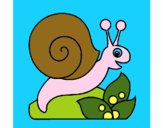 Caracol