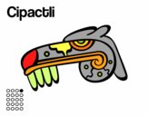 Los días aztecas: el caimán Cipactli