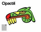 Los días aztecas: el caimán Cipactli