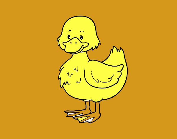 Patito de granja