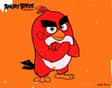 Red de Angry Birds