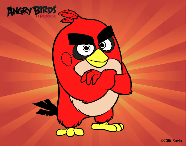 Red de Angry Birds