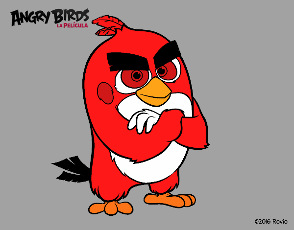 Red de Angry Birds