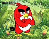 Red de Angry Birds