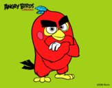 Red de Angry Birds