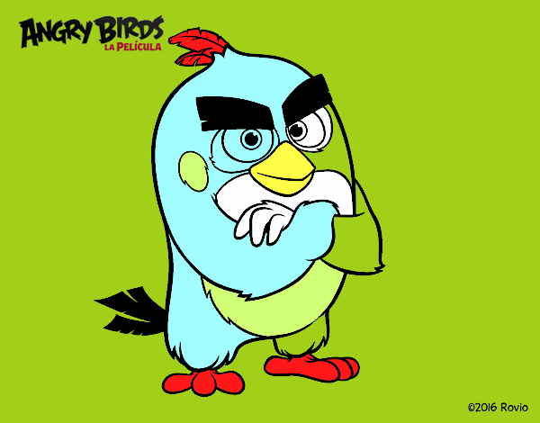 Red de Angry Birds