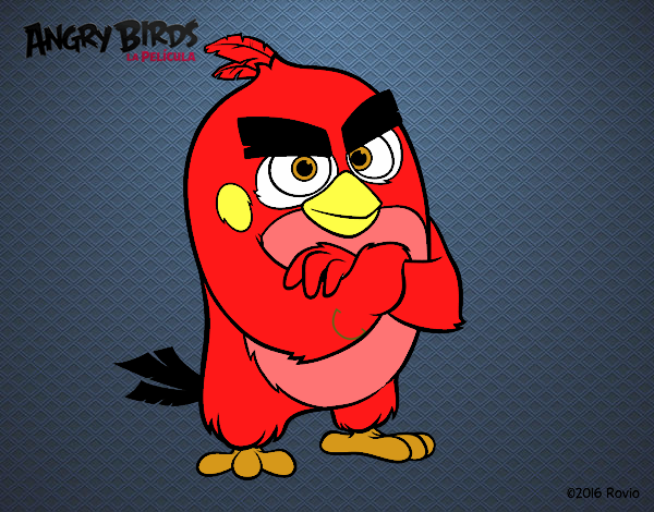 Red de Angry Birds