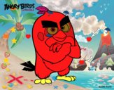 Red de Angry Birds