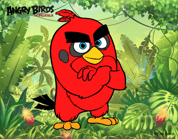 Red de Angry Birds