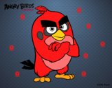 Red de Angry Birds