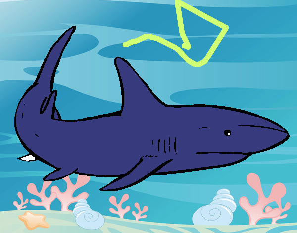 tiburon azul 