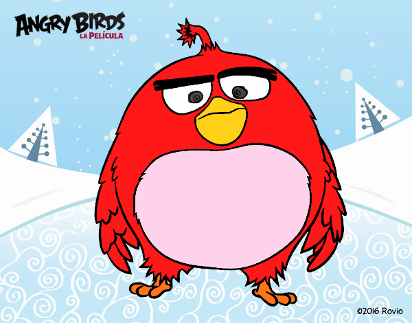 angry birds