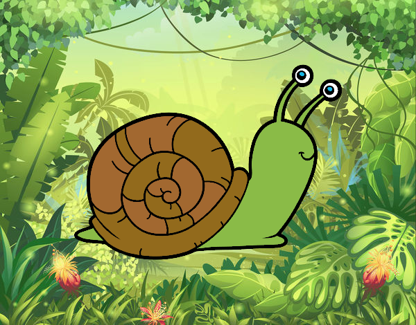 caracol salvaje