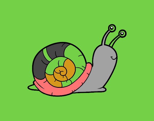 El caracol