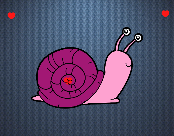 caracol