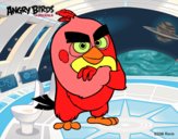 Red de Angry Birds