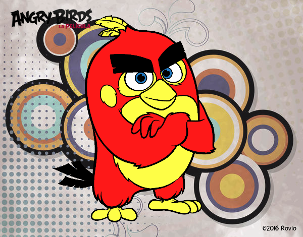 Red de Angry Birds