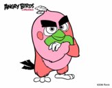 Red de Angry Birds