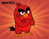 Red de Angry Birds