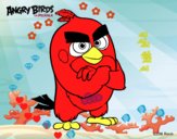 Red de Angry Birds