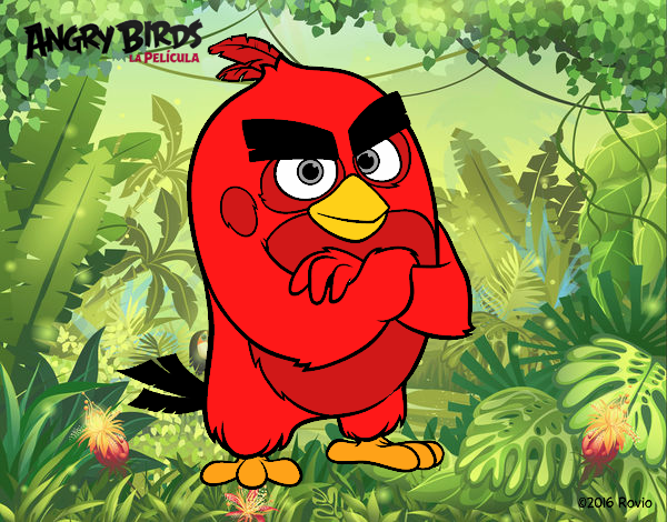 Red de Angry Birds