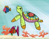 Dibujo Tortuga de mar con peces pintado por dandanhooo