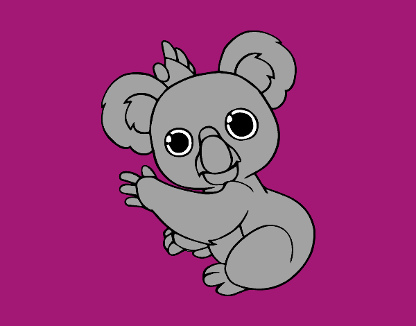 Un Koala