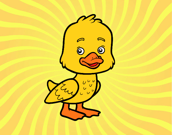 Un patito