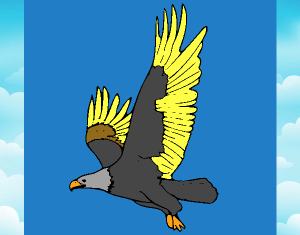 Águila volando