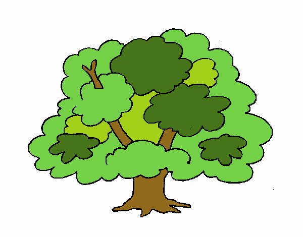 Árbol