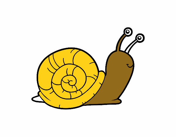 El caracol