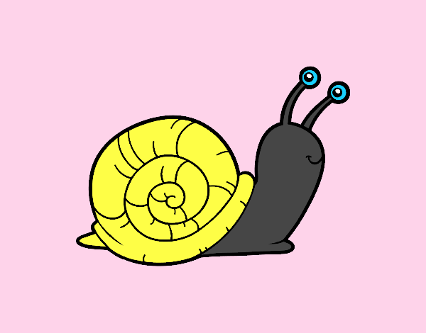 El caracol