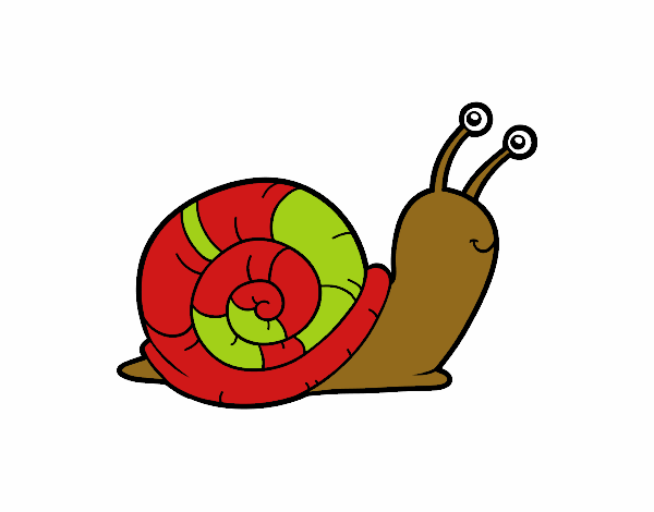 El caracol