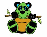 Oso panda