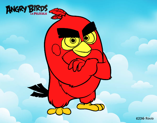 Red de Angry Birds