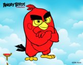 Red de Angry Birds