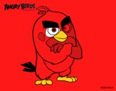 Red de Angry Birds