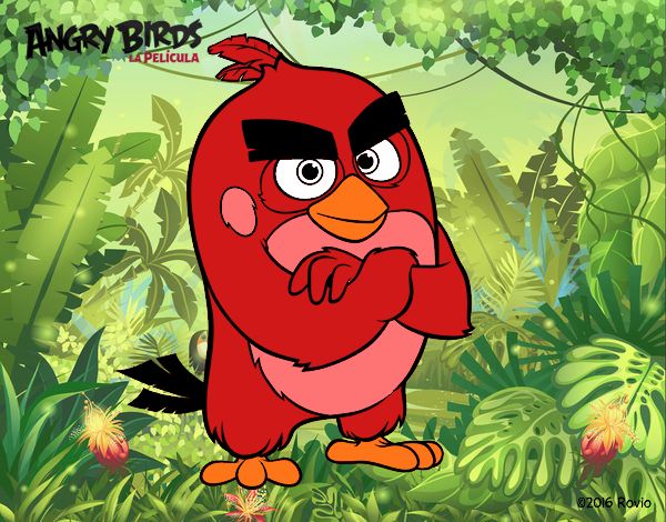 Red de Angry Birds