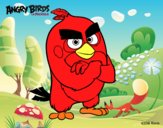 Red de Angry Birds