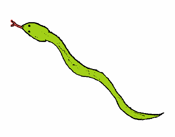 Serpiente venenosa