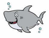 Dibujo Tiburón ballena pintado por SahyUribe